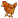 :chiken: